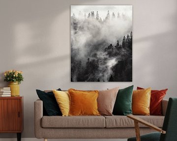 Mist hangt over het bos van Julien Beyrath