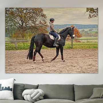 Training mit dem Bayer Rappen Baveria auf einem Reitplatz im Herbst