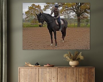 Training mit dem Bayer Rappen Baveria auf einem Reitplatz im Herbst