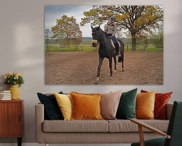 Training met het Beierse zwarte paard Baveria op een rijbak in de herfst van Babetts Bildergalerie