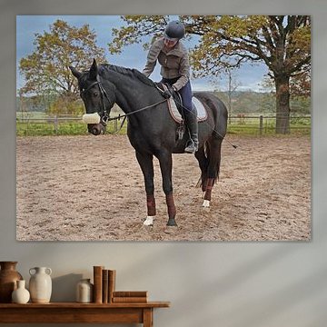 Training mit dem Bayer Rappen Baveria auf einem Reitplatz im Herbst