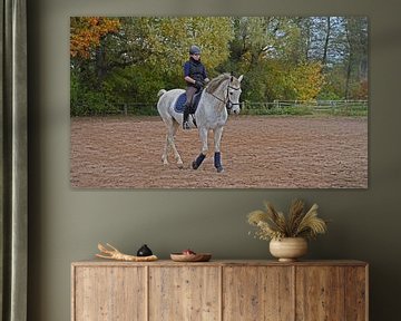 cheval blanc et cavalière à l'entraînement sur un terrain d'équitation