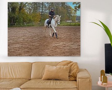 cheval blanc et cavalière à l'entraînement sur un terrain d'équitation