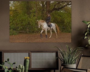 cheval blanc et cavalière à l'entraînement sur un terrain d'équitation