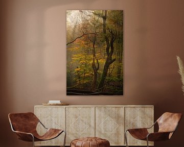 Autumn forest by John Leeninga