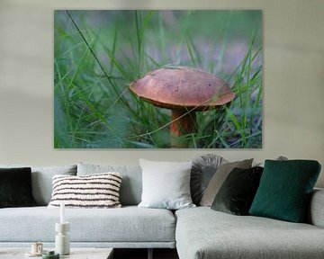 bruine paddenstoel in het gras van Spijks PhotoGraphics