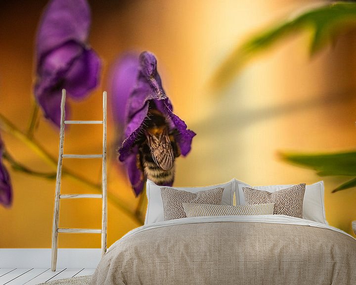 Sfeerimpressie behang: bij in de knop van een paarse bloem op zoek naar nectar van Margriet Hulsker