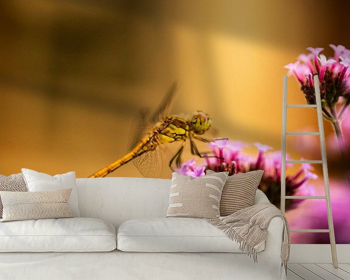 Sfeerimpressie behang: libelle op een bloem in avond zon licht van Margriet Hulsker