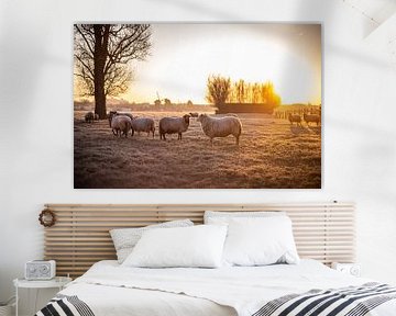 Schafe in gefrorener Landschaft bei Sonnenaufgang