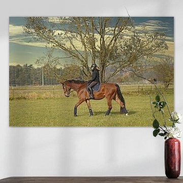 Beste Freunde - brauner Rheinländerwallach und seine Reiterin