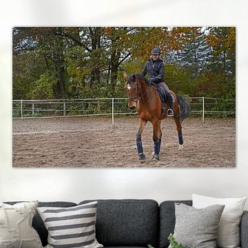 Beste Freunde - brauner Rheinländerwallach und seine Reiterin