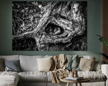Tree root gloomy and abstract in black and white by Dieter Walther