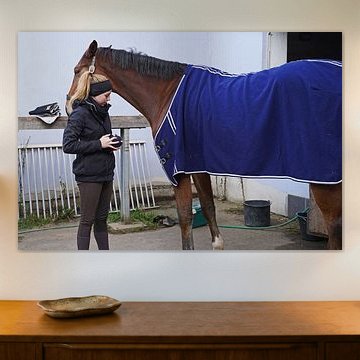 Beste Freunde - brauner Rheinländerwallach und seine Reiterin