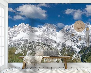 Wild Kaiser by Dieter Meyrl