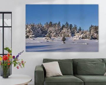 zweeds landschap in de sneeuw met een blauwe lucht