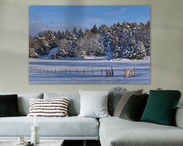 zweeds landschap met sneeuw van Geertjan Plooijer