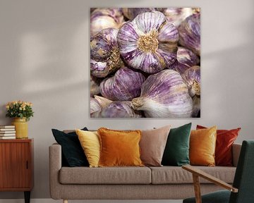 Purple garlic bulbs by Anouschka Hendriks