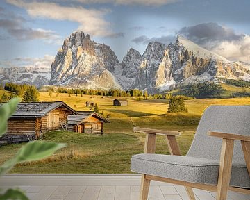 Die Seiser Alm im Abendlicht von Michael Valjak