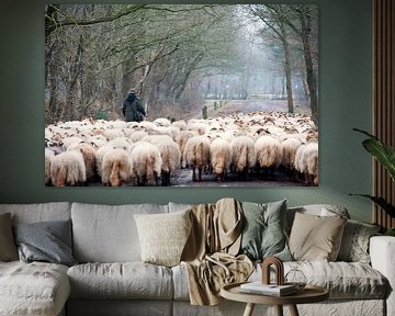 Sheep herd in winter by Ivonne Wierink