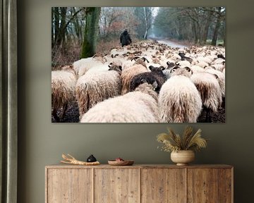 Sheep herd in winter by Ivonne Wierink