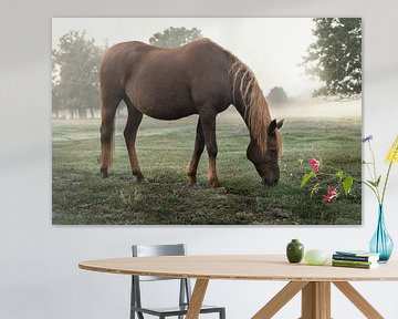 Das Pferd auf der Weide von Marc-Sven Kirsch