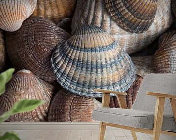 Shells brown, beige and sand coloured (vertical)