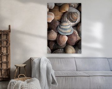 Shells brown, beige and sand coloured (vertical) by Marjolijn van den Berg