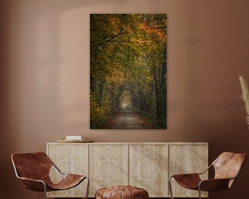 Walking in a fairytale avenue of trees