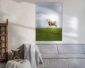 De schapen op de dijk van Marc-Sven Kirsch