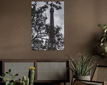 La Tour Eiffel by Olivier Peeters