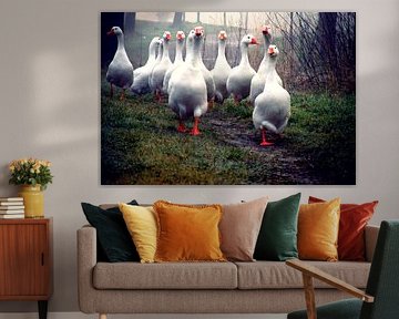 De Grazende Ganzenpartij