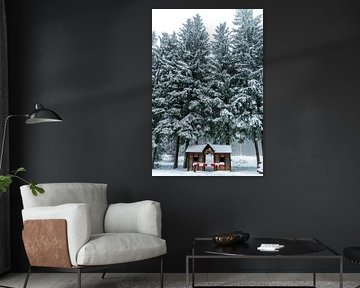 Beautiful winter landscape on the heights of the Thuringian Forest