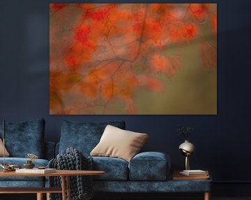 Autumn impression by Diane Cruysberghs