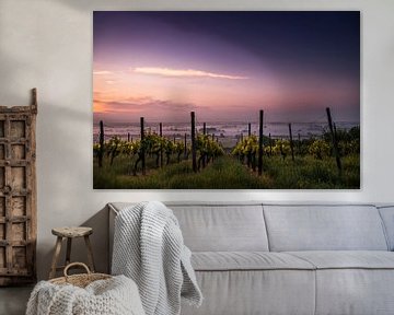 Vineyard Sunset van Walljar