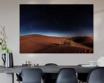 Desert Nighttime by Walljar