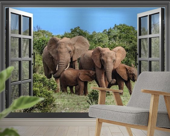 Aperçu de la chambre