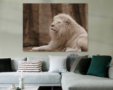 Witte leeuw in sepia van Jose Lok