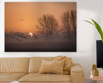 Geese in the fog during sunrise. by natascha verbij