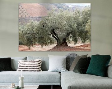 Olijven landschap in Andalusië. van Jan Katuin