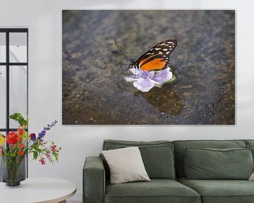 Monarchvlinder op bloem in het water van Ronald en Bart van Berkel