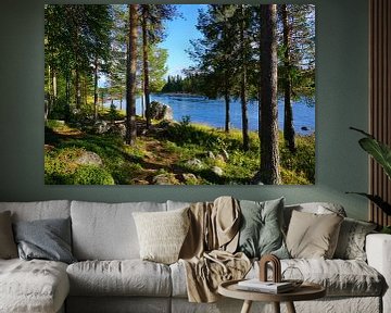 De rivier Vindelälven in Zweeds Lapland in een prachtig landschap van Thomas Zacharias