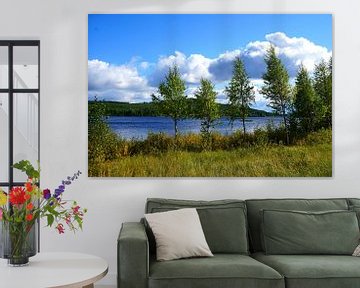 Jonge berkenbomen bij een meer in Zweden van Thomas Zacharias
