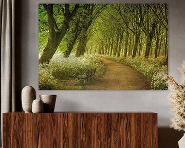 A Seat Not Taken van Lars van de Goor