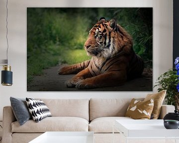 Tiger up close with a soft background by Jolanda Aalbers