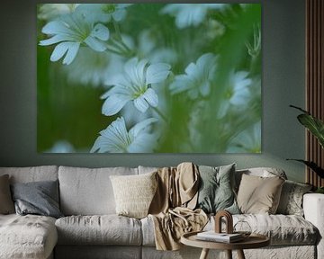 Blumen