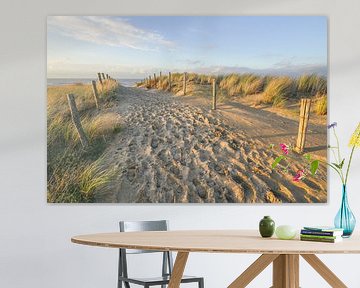 Duin en strand aan de kust van Nederland van Dirk van Egmond