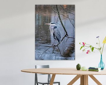 Grey heron in the rain by Rietje Bulthuis