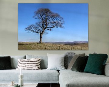 Eenzame boom, Peak District, Engeland van Imladris Images