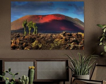 cactus in lunar landscape