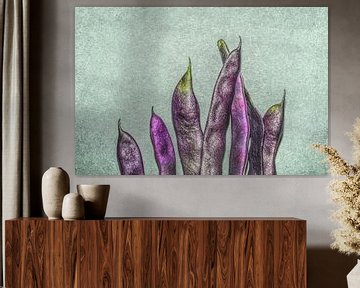 boon van artpictures.de